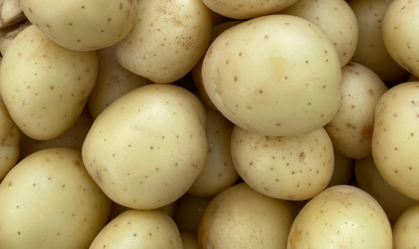 Potato Export